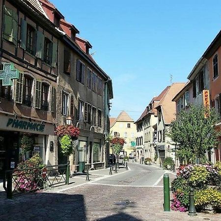 Studio L'Epicea Climatisation Sejour Parfait Soultz-Haut-Rhin Eksteriør billede