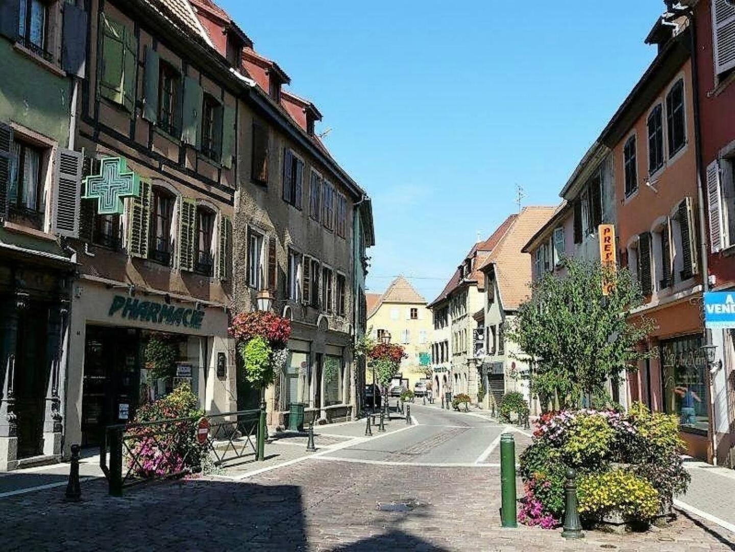 Studio L'Epicea Climatisation Sejour Parfait Soultz-Haut-Rhin Eksteriør billede